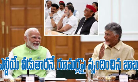 Chandrababu responds on rumors