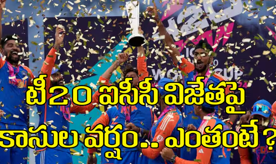 T20 ICC Prize Money: టీ20 ఐసీసీ విజేతపై కాసుల వర్షం.. ఎంతంటే?