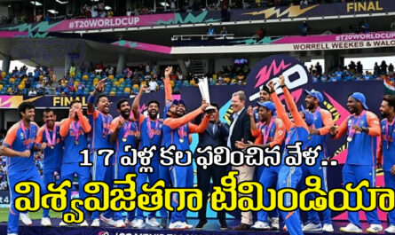 World Cup Winner Team India