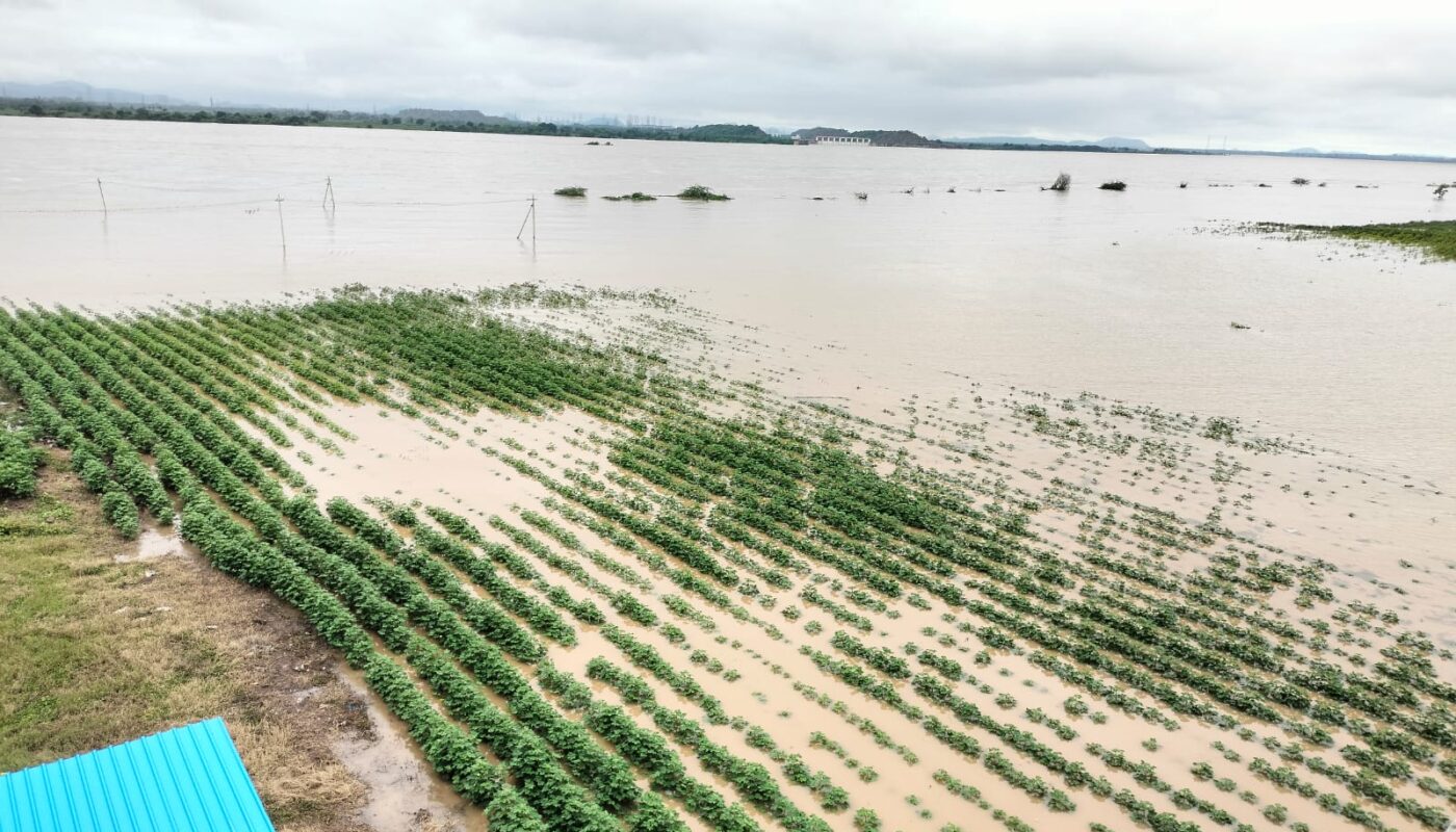 cotton farm in Under water