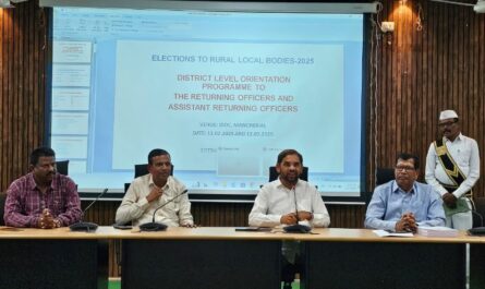 local body elections